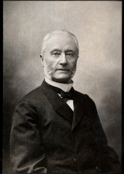 Porträt von Henri Barboux (1834-1910), französischer Anwalt und Politiker von French Photographer